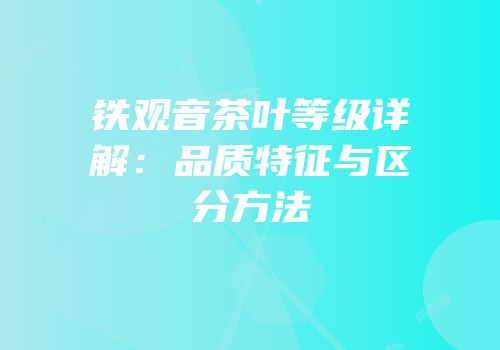 铁观音茶叶等级详解：品质特征与区分方法