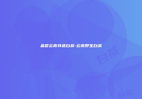 品尝云南特色白茶-云南野生白茶