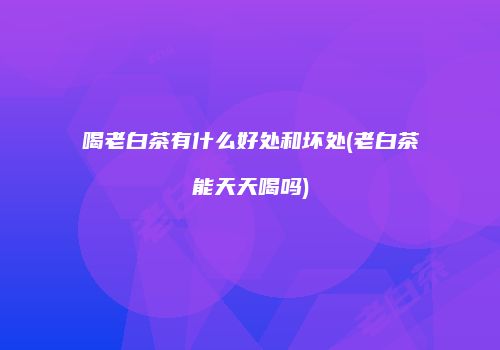 喝老白茶有什么好处和坏处(老白茶能天天喝吗)