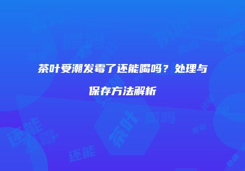 茶叶受潮发霉了还能喝吗？处理与保存方法解析