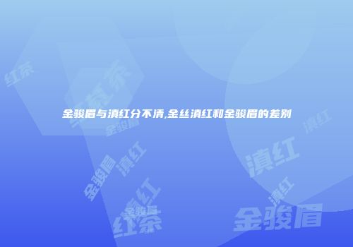金骏眉与滇红分不清,金丝滇红和金骏眉的差别