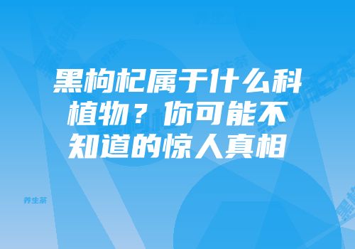 黑枸杞属于什么科植物？你可能不知道的惊人真相