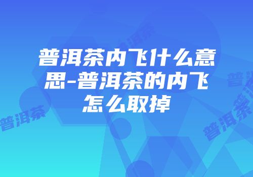 普洱茶内飞什么意思-普洱茶的内飞怎么取掉