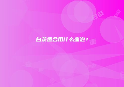 白茶适合用什么壶泡？