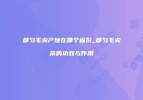 都匀毛尖产地在哪个省份_都匀毛尖茶的功效与作用