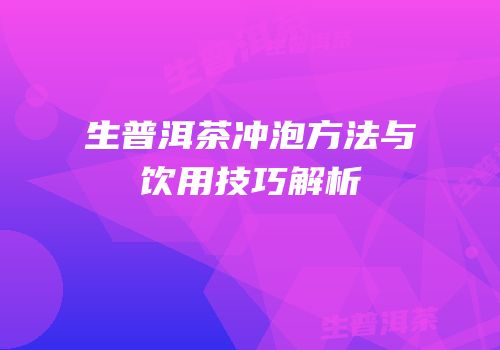 生普洱茶冲泡方法与饮用技巧解析