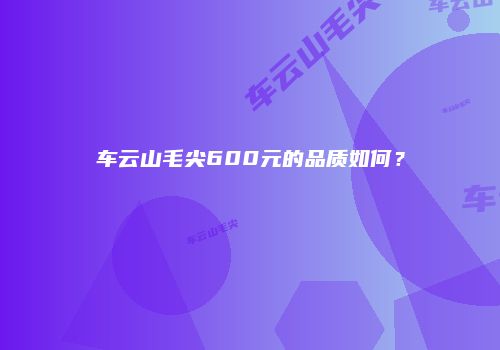 车云山毛尖600元的品质如何？