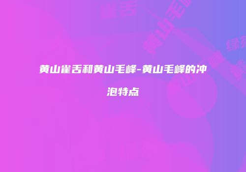 黄山雀舌和黄山毛峰-黄山毛峰的冲泡特点