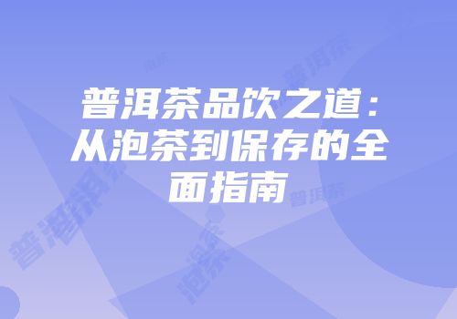 普洱茶品饮之道：从泡茶到保存的全面指南