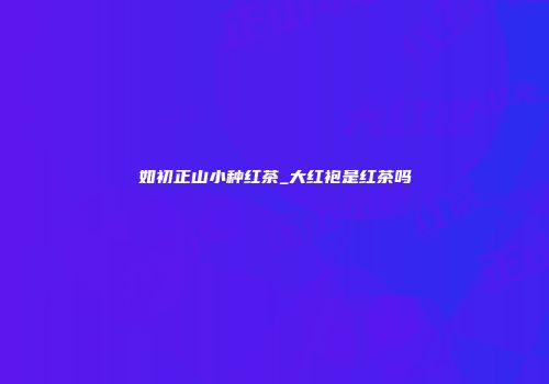 如初正山小种红茶_大红袍是红茶吗