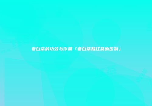 老白茶的功效与作用「老白茶和红茶的区别」