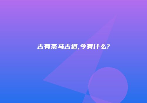 古有茶马古道,今有什么?