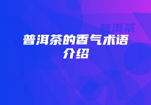 普洱茶的香气术语介绍