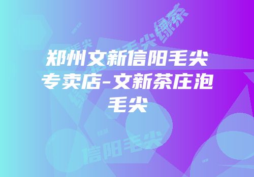 郑州文新信阳毛尖专卖店-文新茶庄泡毛尖