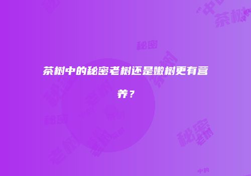 茶树中的秘密老树还是嫩树更有营养？