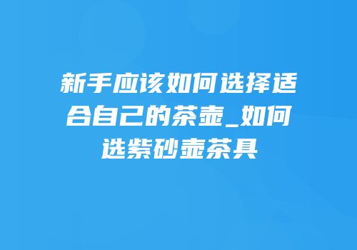 新手应该如何选择适合自己的茶壶_如何选紫砂壶茶具