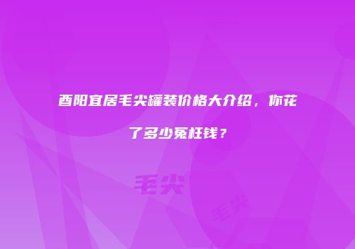 酉阳宜居毛尖罐装价格大介绍，你花了多少冤枉钱？