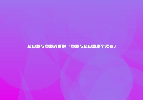 杭白菊与胎菊的区别「胎菊与杭白菊哪个更寒」