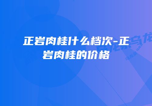 正岩肉桂什么档次-正岩肉桂的价格