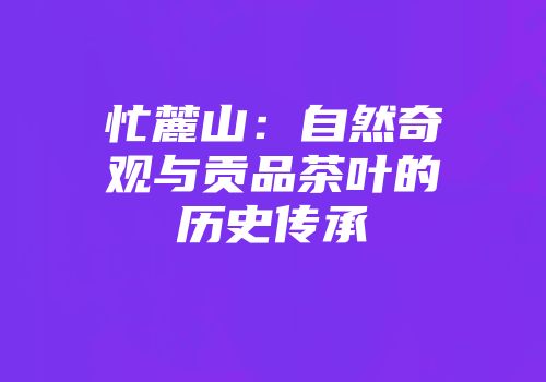 忙麓山：自然奇观与贡品茶叶的历史传承