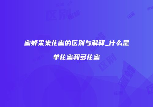 蜜蜂采集花蜜的区别与解释_什么是单花蜜和多花蜜