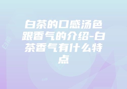 白茶的口感汤色跟香气的介绍-白茶香气有什么特点