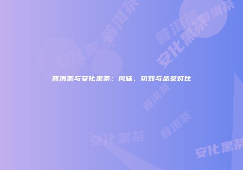 普洱茶与安化黑茶：风味、功效与品鉴对比