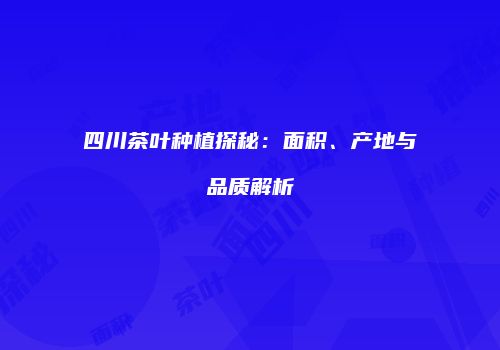 四川茶叶种植探秘：面积、产地与品质解析