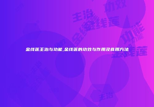 金线莲主治与功能,金线莲的功效与作用及食用方法