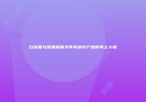 白茶园与凤凰窝探寻不同茶叶产地的风土人情