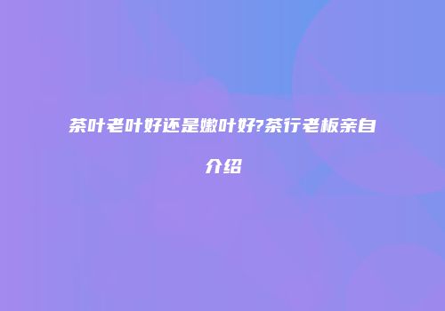 茶叶老叶好还是嫩叶好?茶行老板亲自介绍