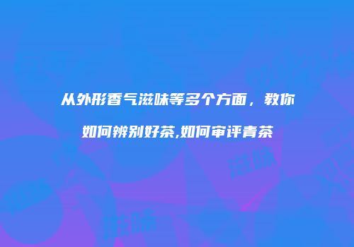 从外形香气滋味等多个方面，教你如何辨别好茶,如何审评青茶