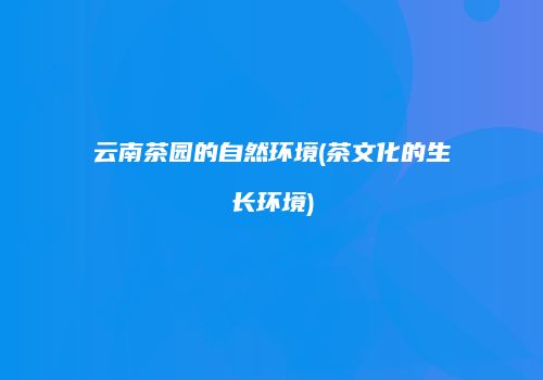 云南茶园的自然环境(茶文化的生长环境)