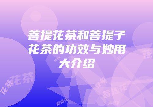 菩提花茶和菩提子花茶的功效与妙用大介绍