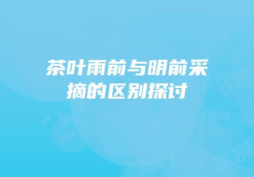 茶叶雨前与明前采摘的区别探讨
