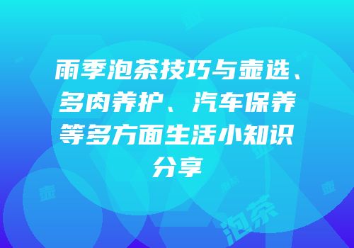 雨季泡茶技巧与壶选、多肉养护、汽车保养等多方面生活小知识分享