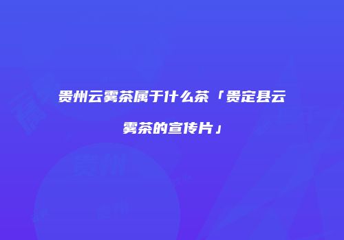 贵州云雾茶属于什么茶「贵定县云雾茶的宣传片」
