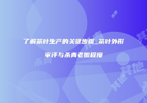 了解茶叶生产的关键步骤_茶叶外形审评与杀青老嫩程度