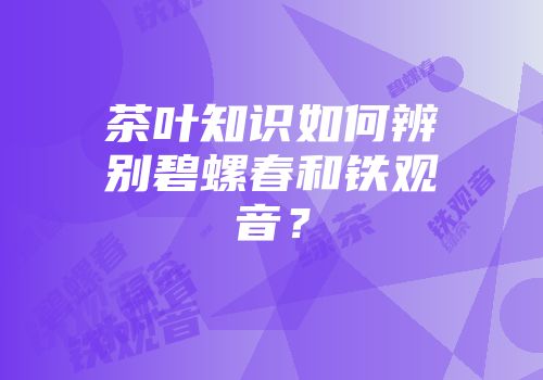 茶叶知识如何辨别碧螺春和铁观音？