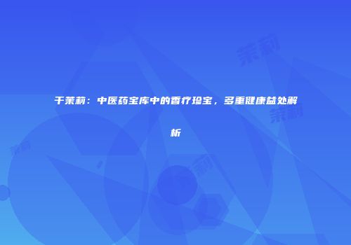 干茉莉：中医药宝库中的香疗珍宝，多重健康益处解析