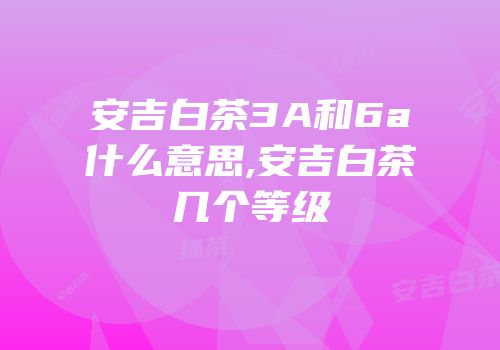 安吉白茶3A和6a什么意思,安吉白茶几个等级