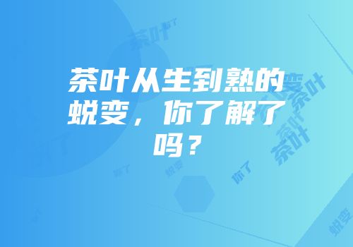 茶叶从生到熟的蜕变，你了解了吗？