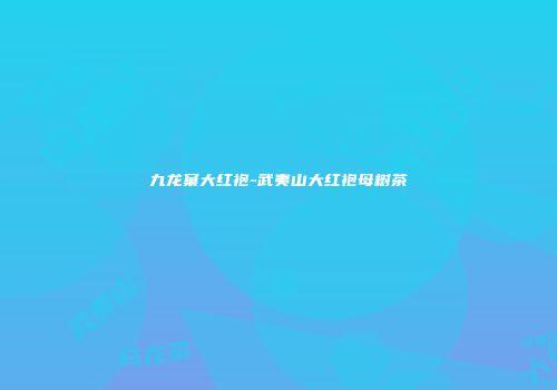九龙窠大红袍-武夷山大红袍母树茶