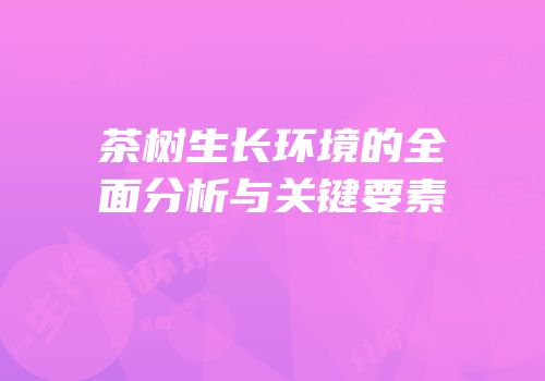茶树生长环境的全面分析与关键要素
