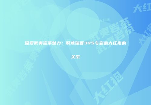 探索武夷岩茶魅力：聚焦瑞香305与岩韵大红袍的关系