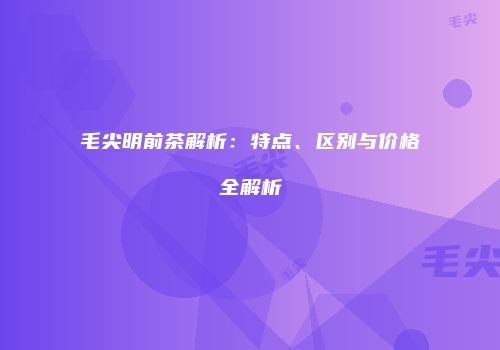 毛尖明前茶解析：特点、区别与价格全解析