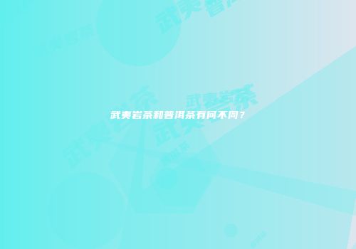武夷岩茶和普洱茶有何不同？