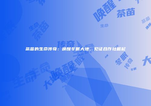 茶苗的生命传奇：唤醒冬眠大地，见证合作社崛起