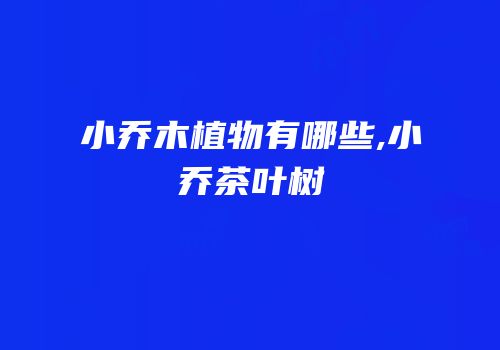 小乔木植物有哪些,小乔茶叶树