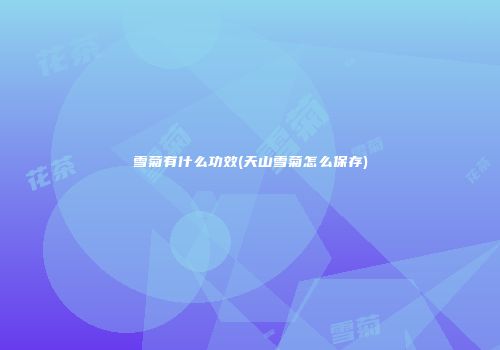 雪菊有什么功效(天山雪菊怎么保存)